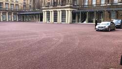 Boris Johnson leaves Buckingham Palace News Clip