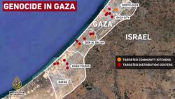 Israel targets Gaza's charity kitchens as famine weaponises starvation News Clip