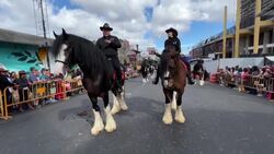 CLEAN : Costa Rica: Jockeys participate in traditional 'El Tope' parade News Clip