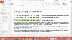 Transcription (Partial; no markings; as done in lab) Instructional Video