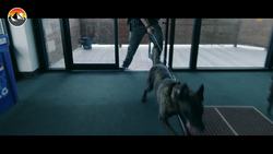 YOUTUBER ARRESTED! Busted by K-9 after Making Video Instructional Video