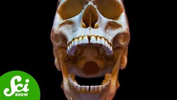 Do We Have to Die? Instructional Video