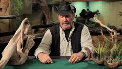 4 Cool Facts about Pac-Man Frogs Instructional Video