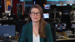 Air Canada, Air Transat cancel takeover deal News Clip