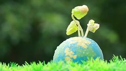 Seeding plant on clay Globe model on raining suny day on green grass, Green World Environment ecology day, Life on earth, Concept of new development for business leadership and strong in future Stock Footage