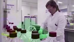 Health Canada considers Pfizer label change from 5 doses to 6 News Clip