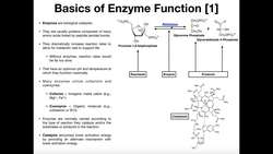 Enzyme Basics & How Do They Lower Activation Energy Instructional Video