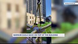 Restored Barnum Museum eagle placed back on dome News Clip