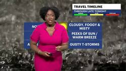 STORM WATCH: Damp, chilly conditions before thunderstorms hit The Bronx News Clip