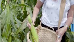 Preserving heritage, the Pottawatomi Seed Library's mission Instructional Video