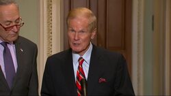 Dems accuse Trump of bullying FL recount officials Instructional Video