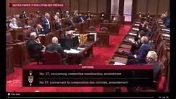 Conservative Senate leader endorses Trump and Republican senators News Clip