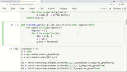 Reinforcement Learning and Deep RL Python Theory and Projects - DNN Implementation Stochastic Gradient Descent Instructional Video