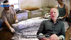 Drilling for Oil in Alaska, According to Native Alaskans News Clip