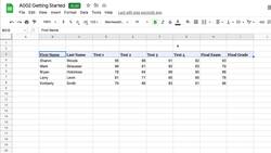 Google Sheets Fundamentals - Google Sheets Quick Start 2 Instructional Video