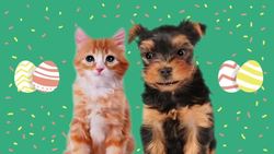 Going on an Easter Egg Hunt | Song for Kids | Easter Songs for Kids Instructional Video