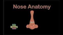 The Nose Anatomy Song Instructional Video