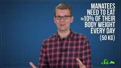 Life as a Sea Cow Instructional Video