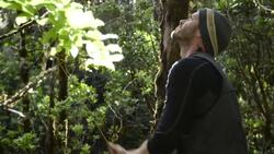How Conservationists Are Saving Hawaii's Honeycreepers Instructional Video