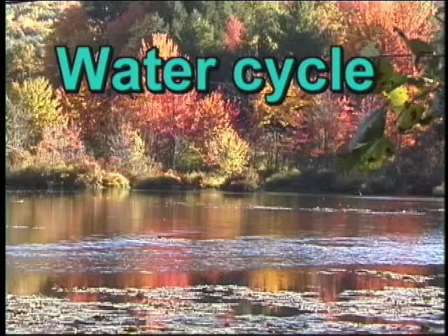 Natural Cycles: Water Cycle | Science