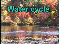Natural Cycles: Water Cycle Instructional Video