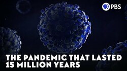 The Pandemic That Lasted 15 Million Years Instructional Video