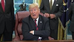 Trump: No proof of Middle Easterners in caravan News Clip