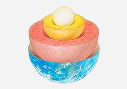 Crust Instructional Video