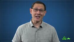 Should You Really 'Feed a Cold, Starve a Fever'? Instructional Video