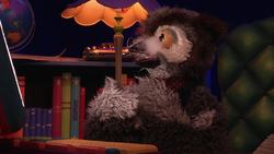 Owl's Fascinating Facts: Flying Backwards Hummingbird Instructional Video