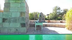 Woman with sunglasses Stock Footage