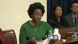 Dems, GOP battle over migrant children's deaths Instructional Video