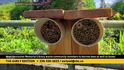 Take out bees with your books at this West Vancouver library News Clip