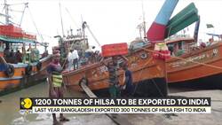 Bangladesh allows 1200 tonnes of Hilsa export to India ahead of Durga Puja News Clip