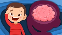 Explore The Brain! Instructional Video