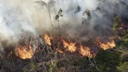 VOICED : Incendio ilegal se extiende en la selva amazónica de Brasil News Clip