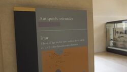 Louvre in Paris removes Sackler name after opioid protests News Clip