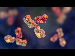 Introduction to Adaptive Immunity Instructional Video
