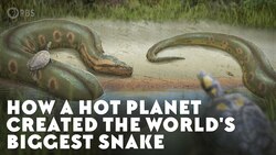 How a Hot Planet Created the World's Biggest Snake Instructional Video
