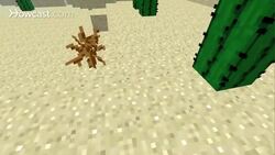 Minecraft Tutorial: How to Find Slimes in Minecraft Instructional Video