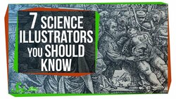 7 Science Illustrators You Should Know Instructional Video