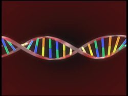 Genetics in Our Lives: Video Quiz Instructional Video