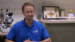 Are Bed Bugs a Recurring Epidemic? Instructional Video