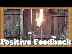 Positive Feedback Instructional Video