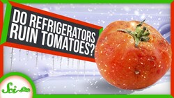 Why You Should Never Put Tomatoes in the Fridge! Instructional Video