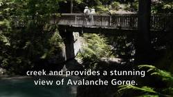 Glacier National Park - Avalanche Creek (Accessible Version) Instructional Video