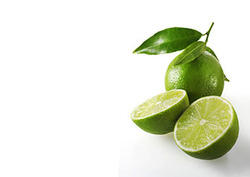 Antioxidante Instructional Video