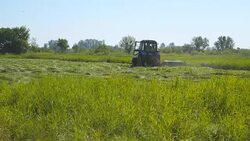 Tractor mowing grass in the meadow Stock Footage