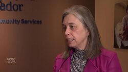 95% measles vaccination rate in N.L. bodes well as global cases skyrocket News Clip