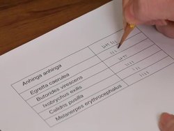 Investigations and Data: Data Instructional Video